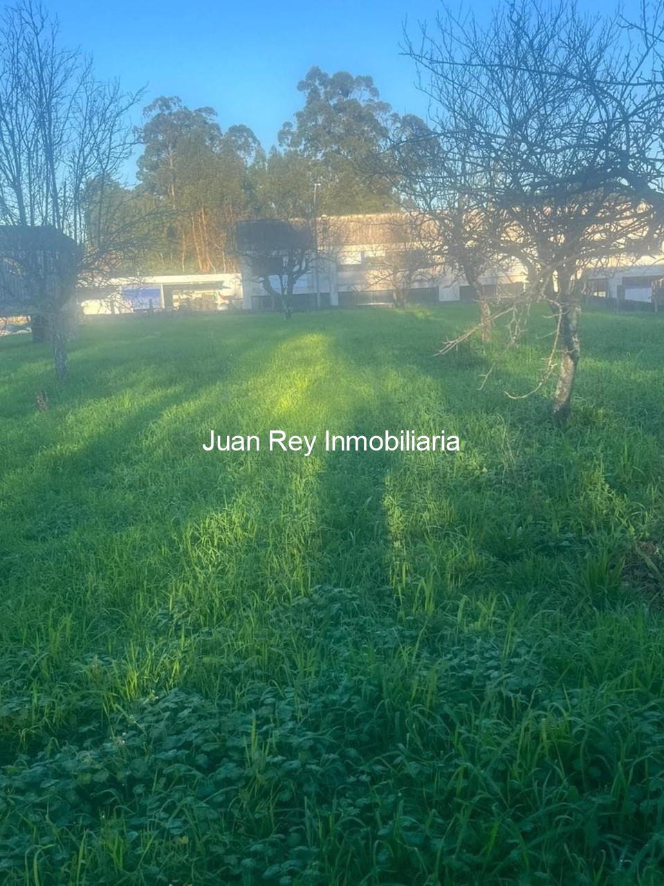 Foto 8 564 FINCA EDIFICABLE A LA VENTA EN RIBADUMIA 