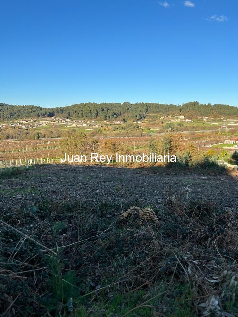 Foto 4 576 FINCA EDIFICABLE A LA VENTA EN MEIS