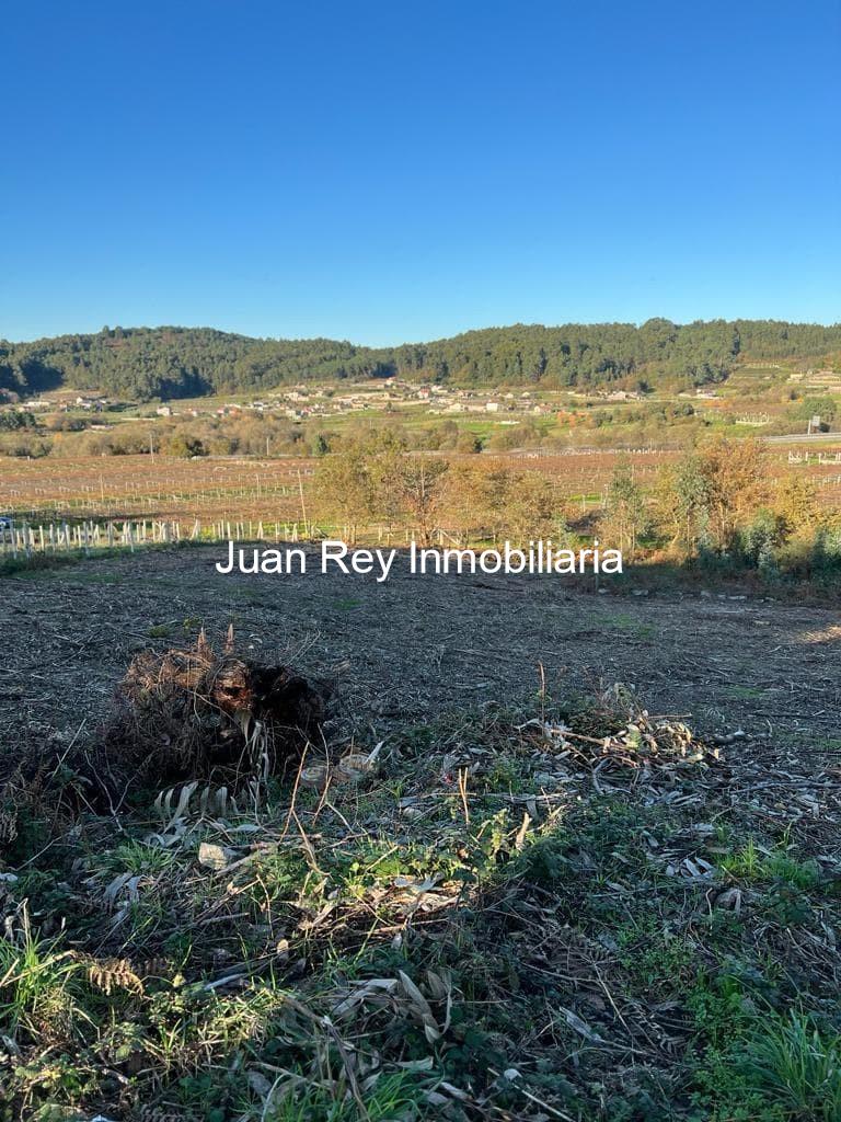 Foto 5 576 FINCA EDIFICABLE A LA VENTA EN MEIS