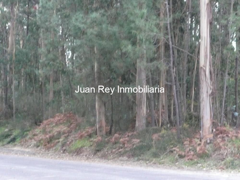 Foto 4 595 TERRENO EN VENTA