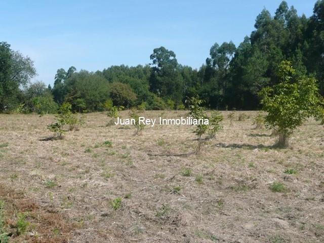 714 TERRENO  - Vilanova de Arousa