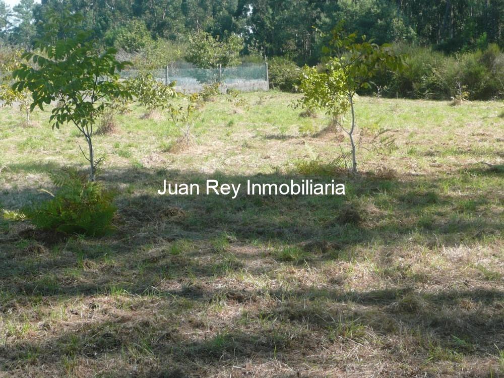 Foto 9 715 FINCA EDIFICABLE 