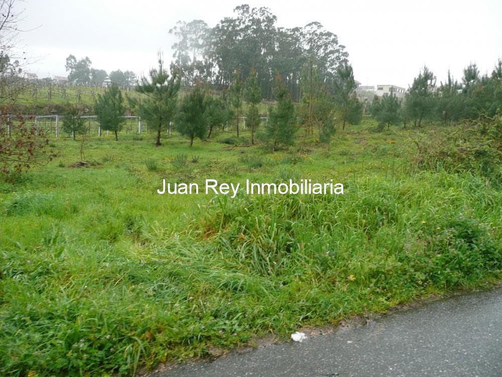 Foto 10 744 FINCA EDIFICABLE EN VENTA 