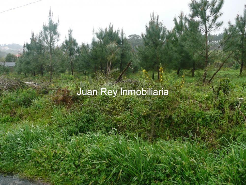Foto 3 744 FINCA EDIFICABLE EN VENTA 