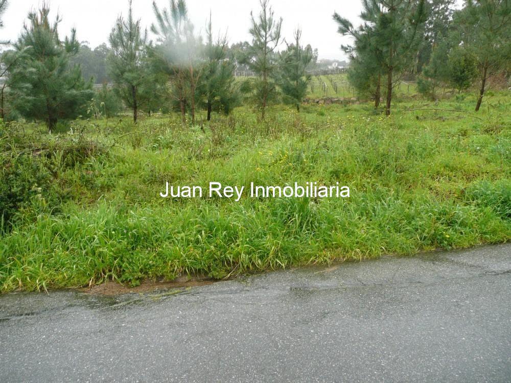 Foto 5 744 FINCA EDIFICABLE EN VENTA 