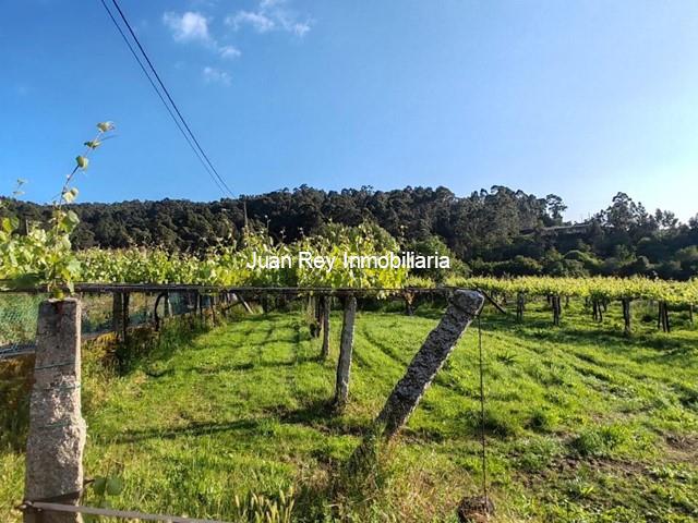 767 FINCA EDIFICABLE A LA VENTA EN MEIS
