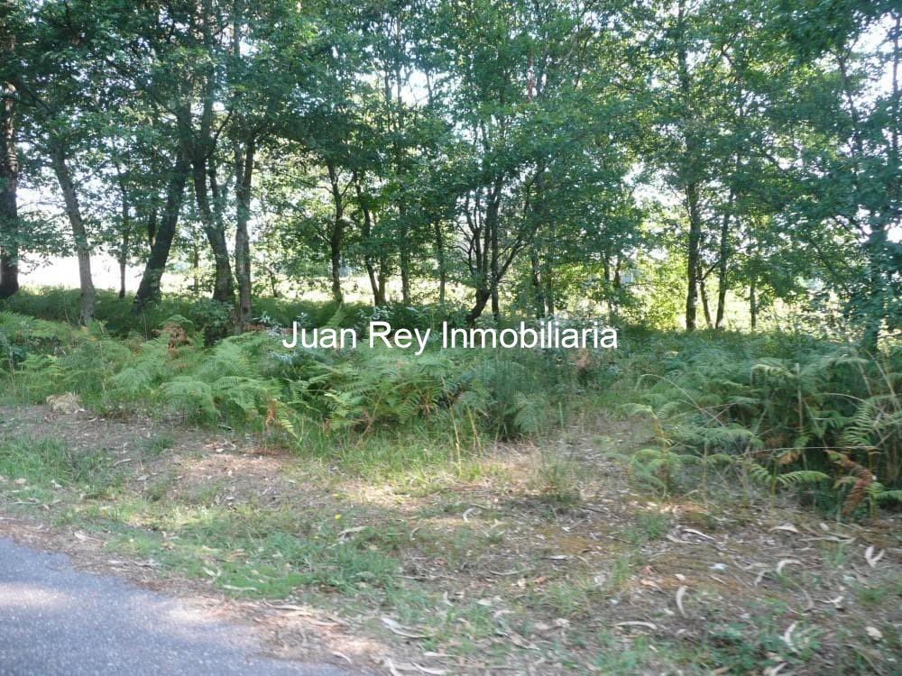 Foto 13 778 CASA PARA RESTAURAR A LA VENTA 