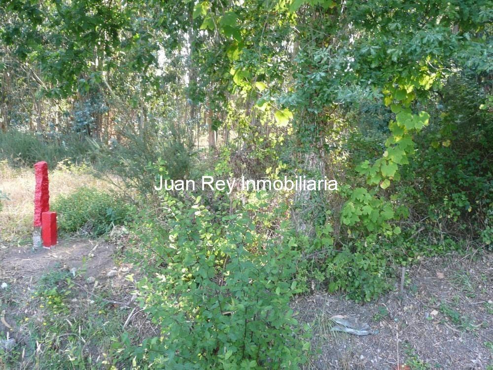 Foto 5 779 TERRENO A LA VENTA