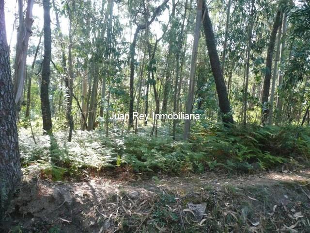 780 TERRENO A LA VENTA  - Ribadumia
