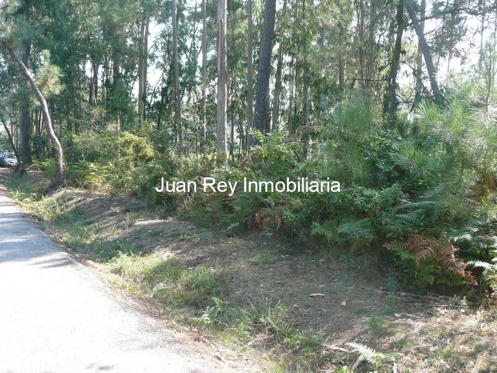 Foto 4 780 TERRENO A LA VENTA 