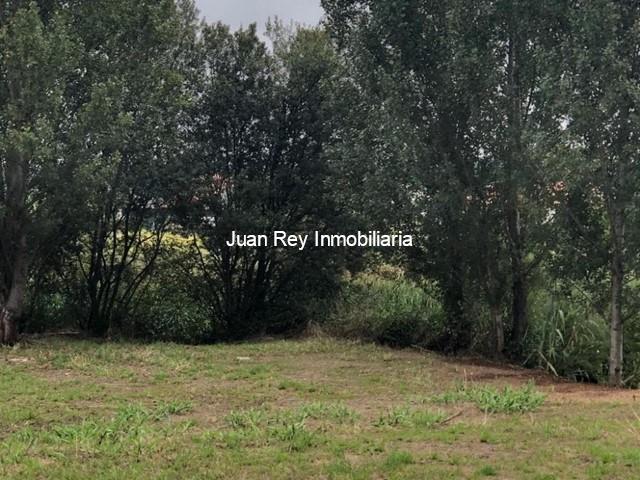 860 FINCA A LA VENTA - Cambados