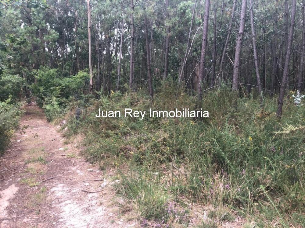 Foto 1 862 TERRENO A LA VENTA