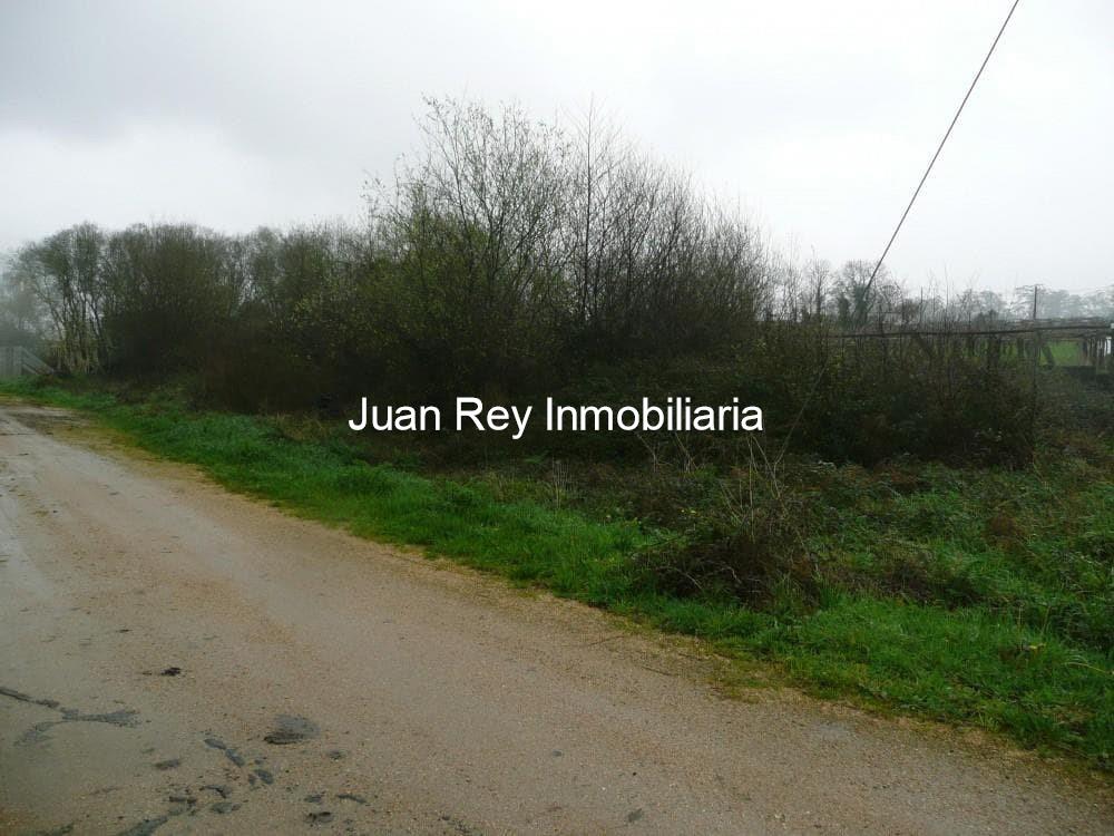 Foto 5 885 FINCA EN VENTA EN RIBADUMIA