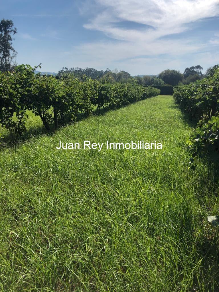 Foto 3 906 FINCA EDIFICABLE A LA VENTA EN VILANOVA DE AROUSA