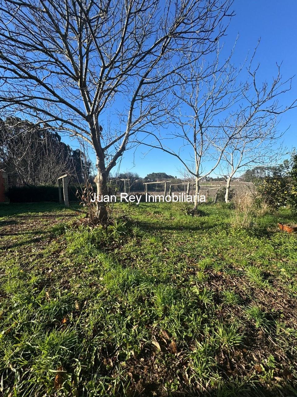 Foto 4 916 TERRENO A LA VENTA EN XIL - MEAÑO