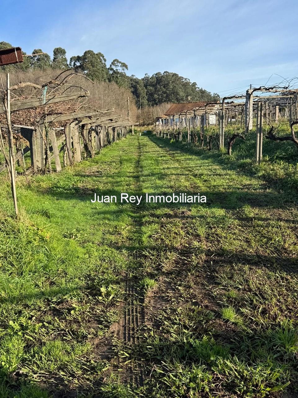 Foto 5 916 TERRENO A LA VENTA EN XIL - MEAÑO