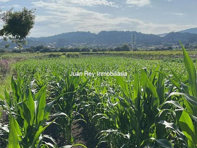 928 TERRENO A LA VENTA EN RIBADUMIA