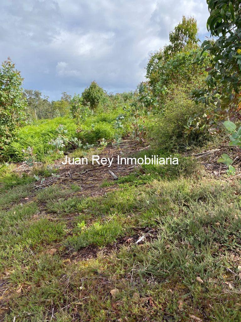 Foto 1 932 TERRENO EN VENTA EN CAMBADOS