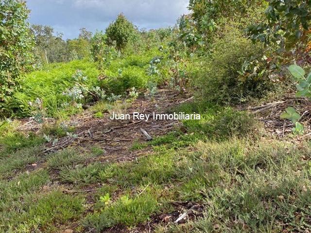 932 TERRENO EN VENTA EN CAMBADOS