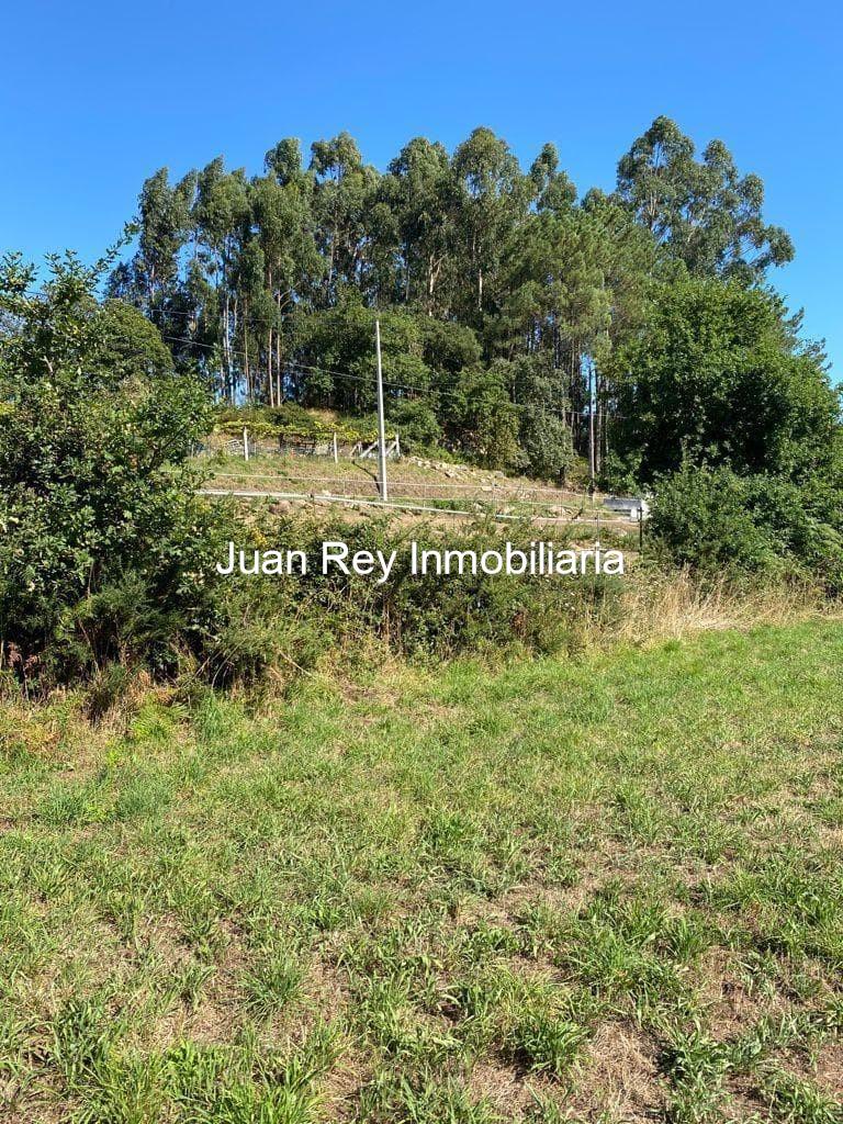 Foto 4 944 FINCA EDIFICABLE A LA VENTA EN MEIS