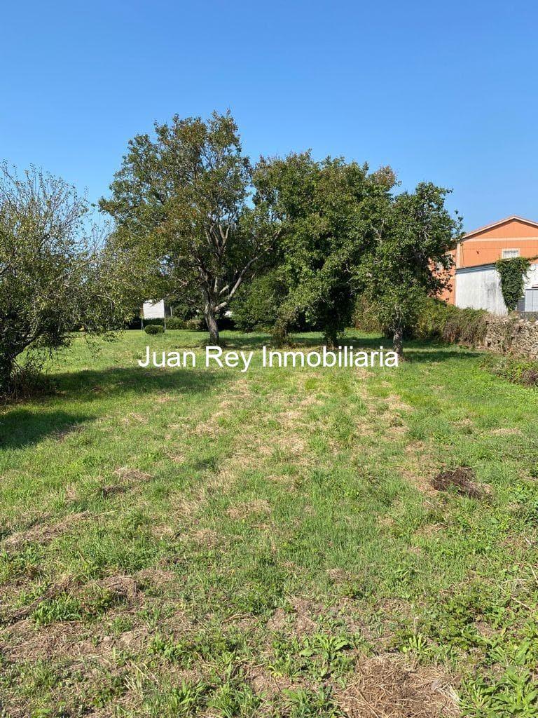 Foto 4 945 FINCA EDIFICABLE A LA VENTA EN CORVILLON