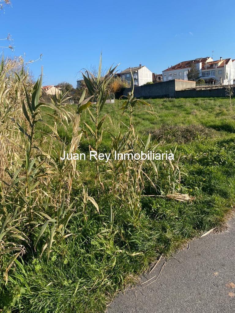 Foto 5 975 TERRENO A LA VENTA EN CAMBADOS