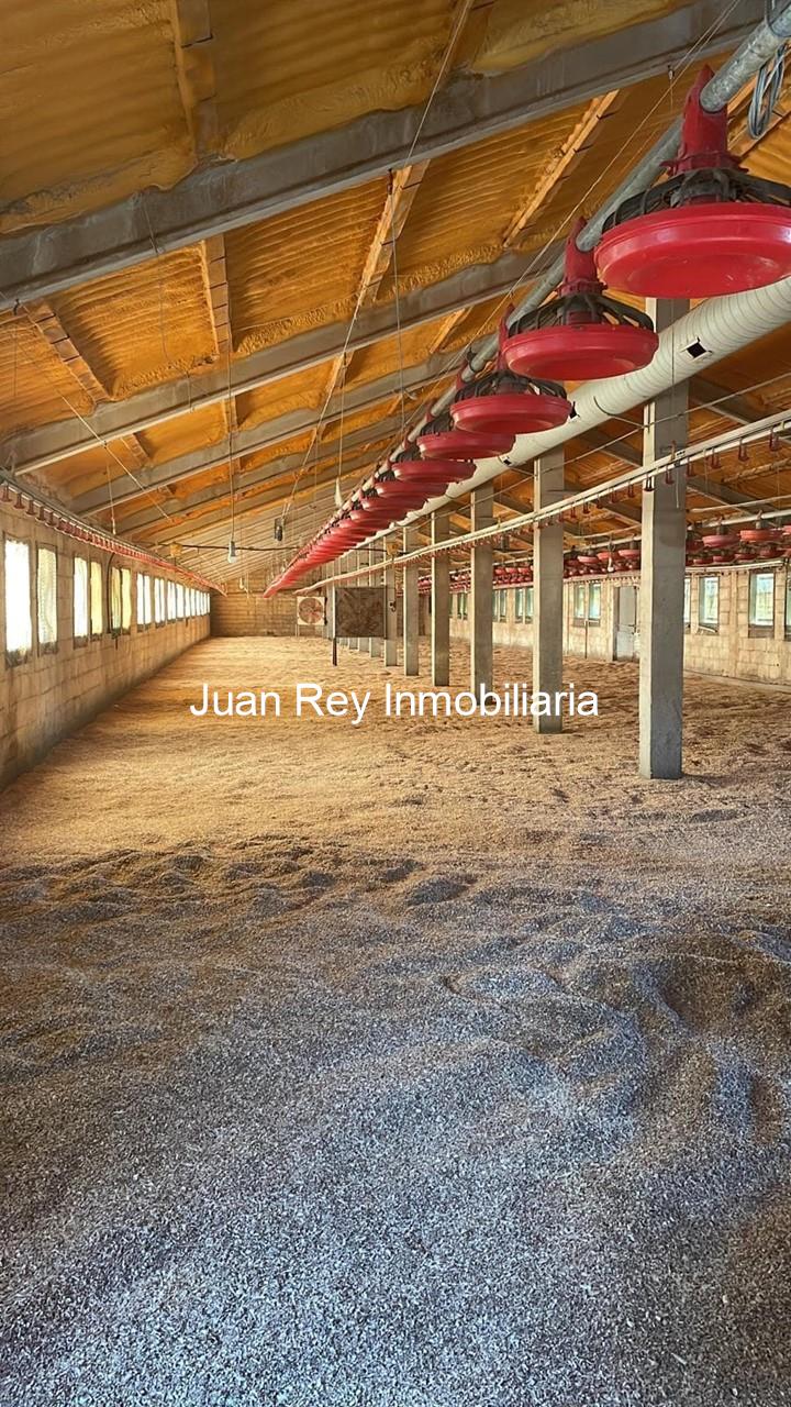 Foto 22 992 NAVE A LA VENTA EN CAMBADOS