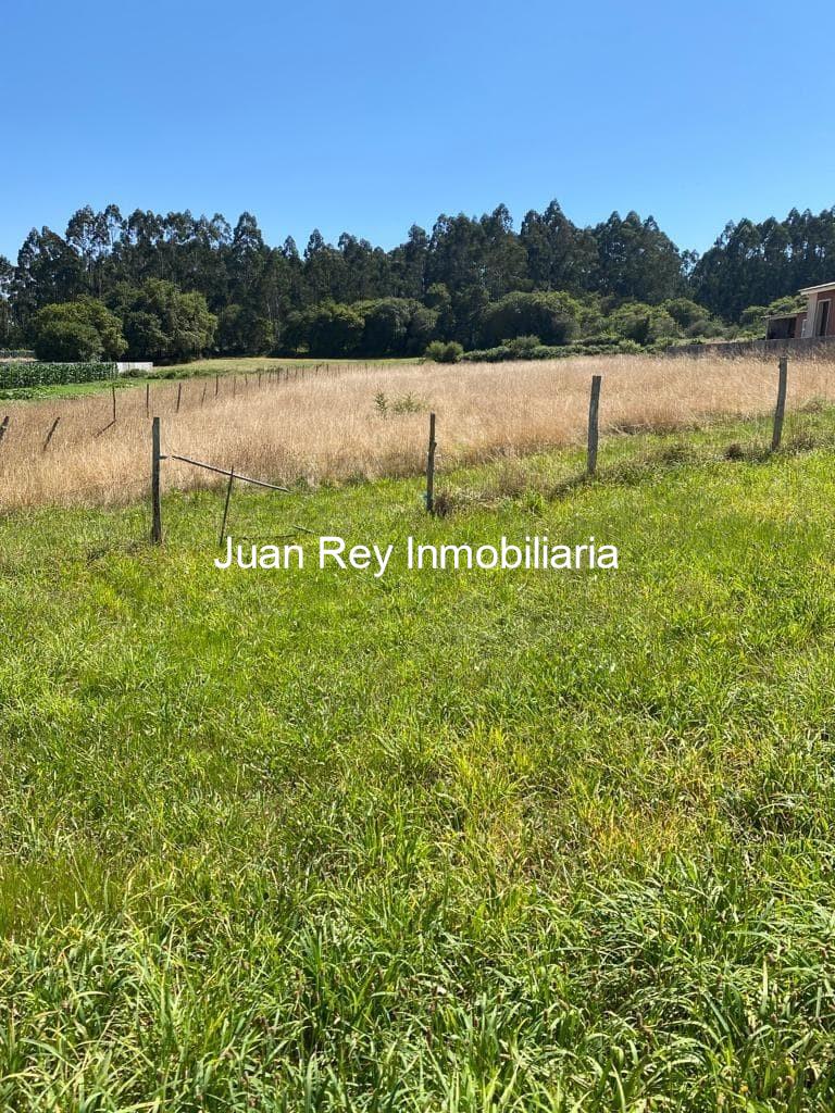Foto 1 993 FINCA EDIFICABLE A LA VENTA EN MEIS
