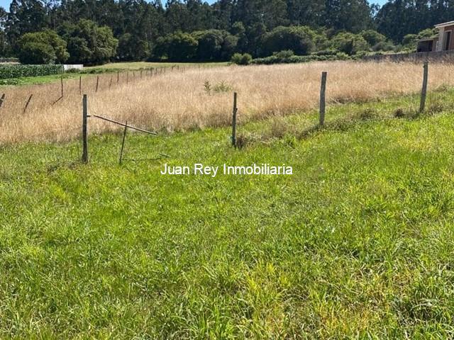 993 FINCA EDIFICABLE A LA VENTA EN MEIS