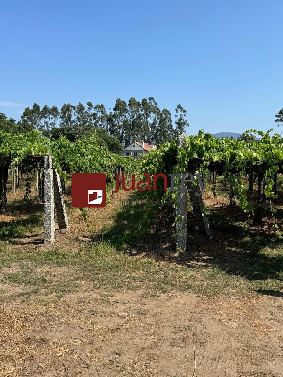 Foto 4 FINCA EDIFICABLE