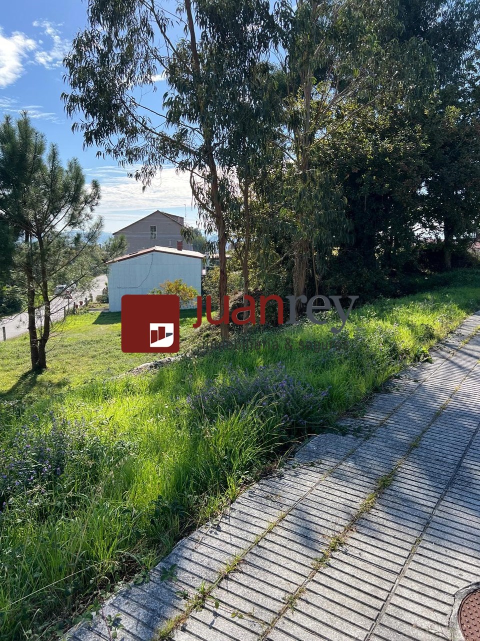 Foto 1 FINCA EDIFICABLE