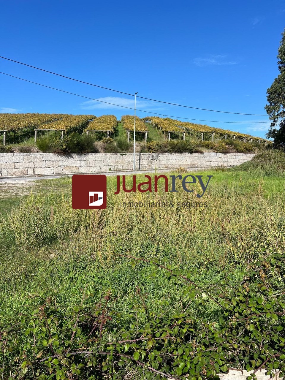 Foto 2 FINCA EDIFICABLE