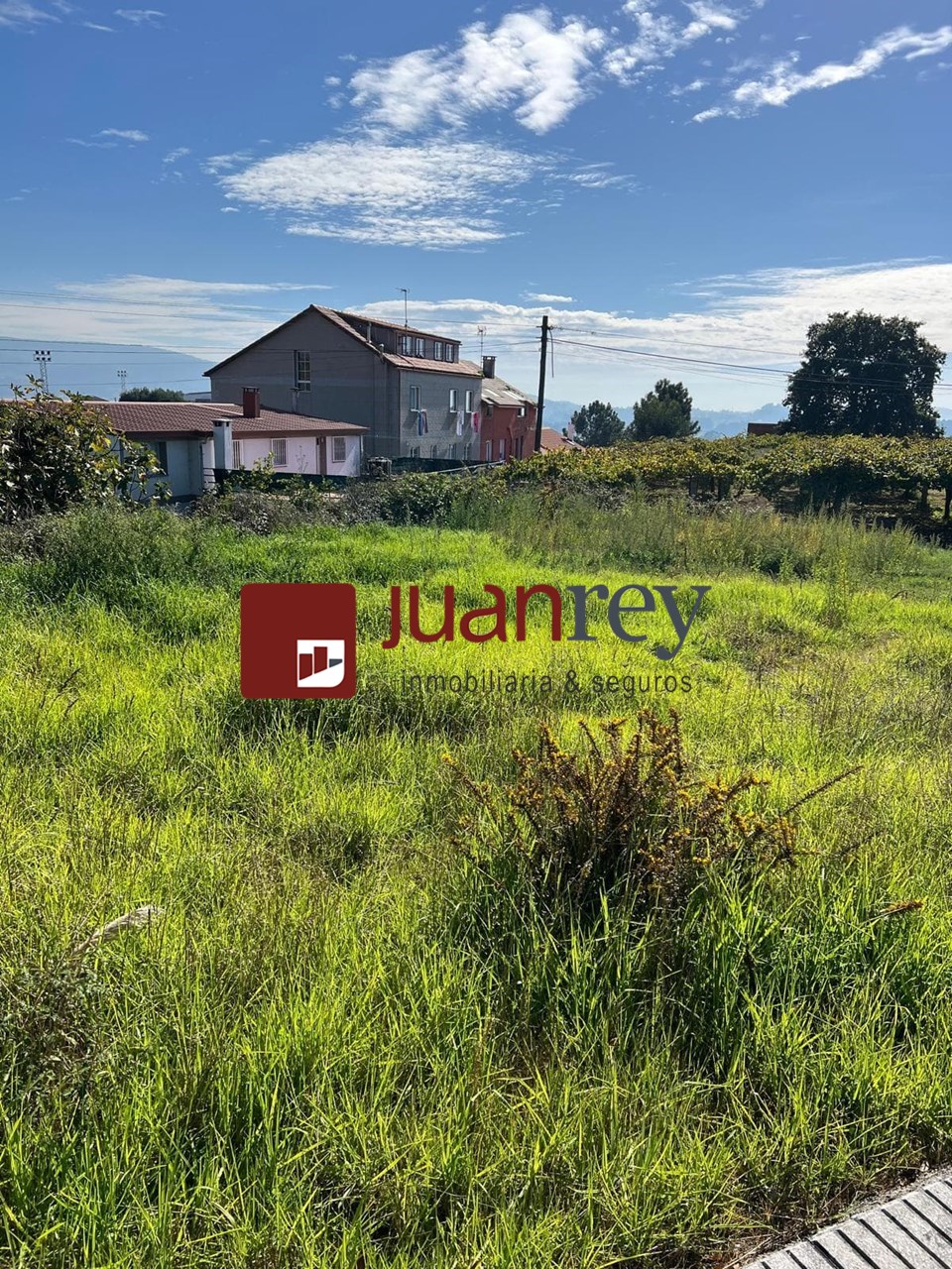 Foto 4 FINCA EDIFICABLE