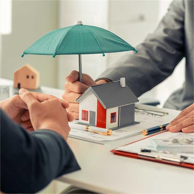  Proteja su futuro con los mejores seguros