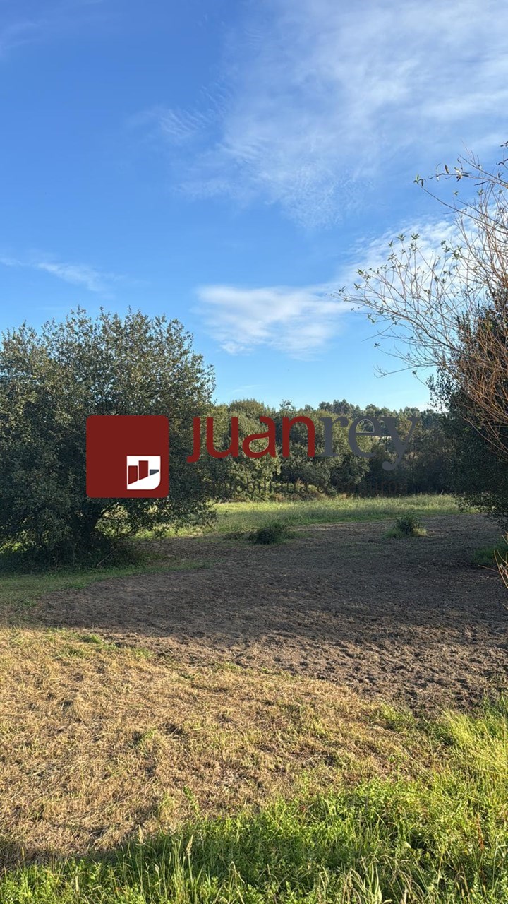 Foto 1 VENTA DE TERRENO