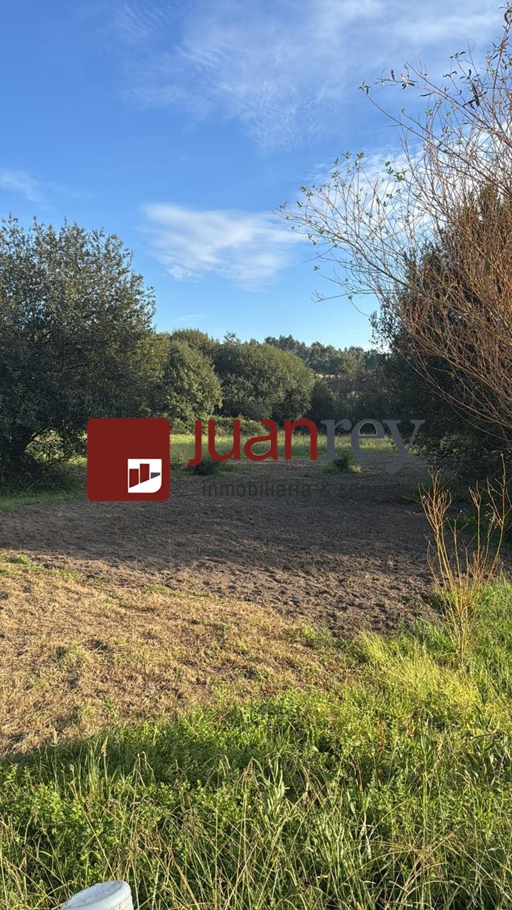 Foto 2 VENTA DE TERRENO