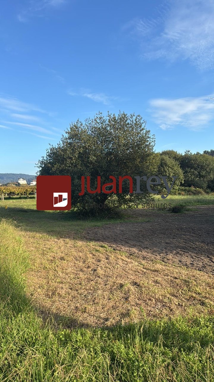 Foto 3 VENTA DE TERRENO